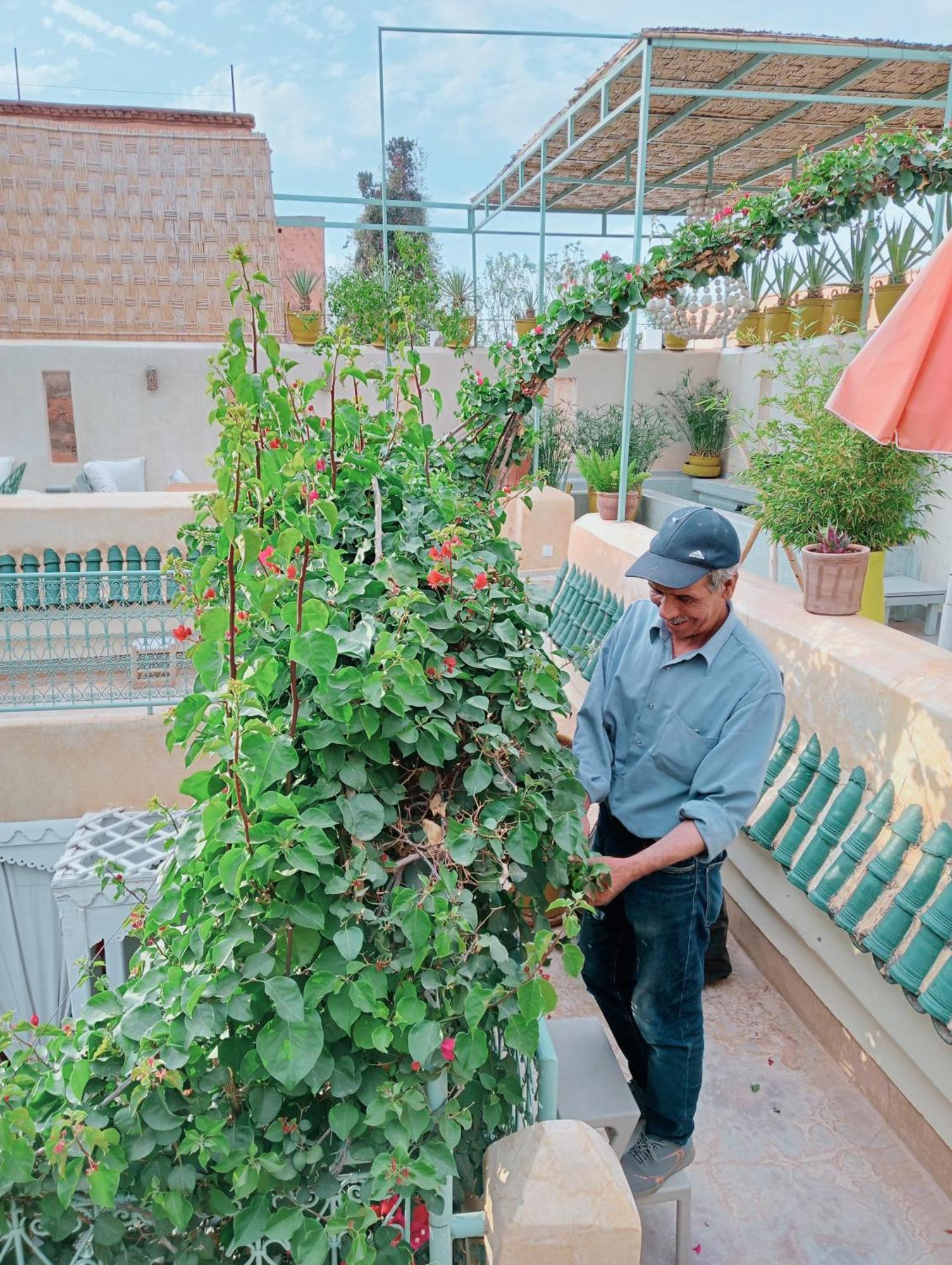 Riad Chambres D'Amis Marrakech 마라케시 외부 사진